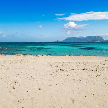 Le Dimore Di Nettuno Olbia Exteriör bild