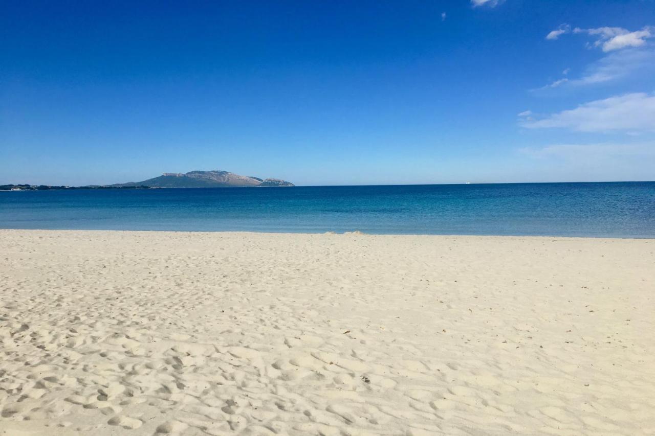 Le Dimore Di Nettuno Olbia Exteriör bild