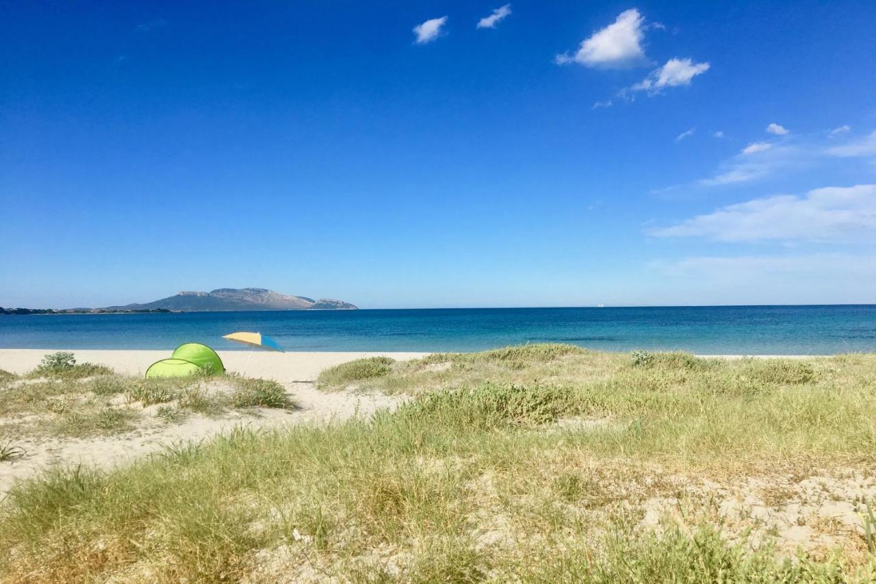 Le Dimore Di Nettuno Olbia Exteriör bild
