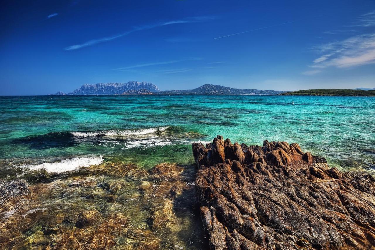 Le Dimore Di Nettuno Olbia Exteriör bild