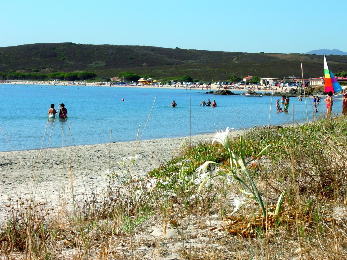 Le Dimore Di Nettuno Olbia Exteriör bild